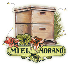 Miel Morand Inc.